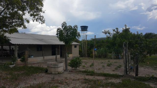 Sitio 7 alqueires - Foto 8