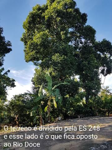 Sítio em Colatina na ES 248 na beira do Rio Doce - Foto 9