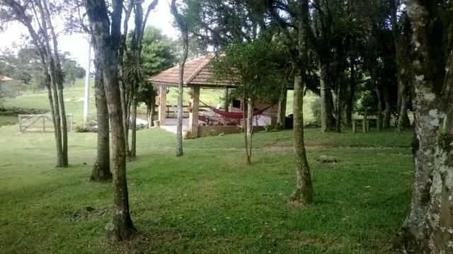 Maravilhoso Sítio - 10 hectares - Lages - Foto 8