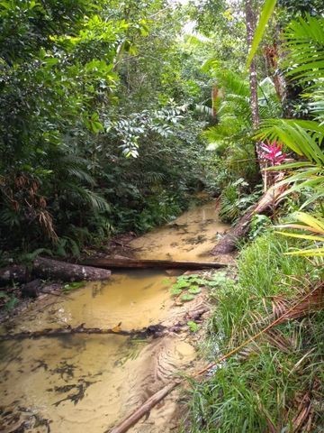 R$ 150 mil reais sitio com 3 hectares , escriturado a 23 km de Castanhal - Foto 7