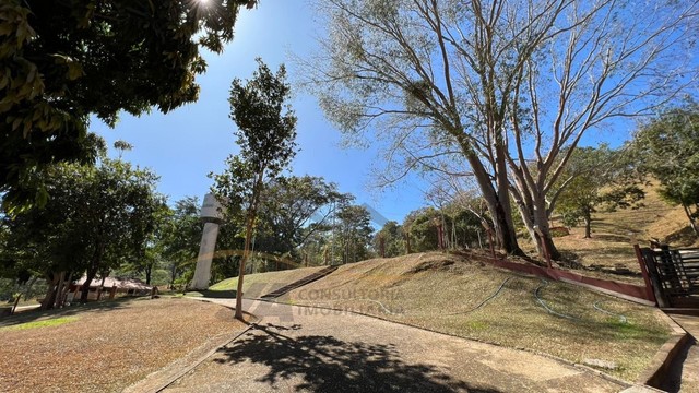chácara 4.53 hectares município Hidrolandia Goiás - Foto 15
