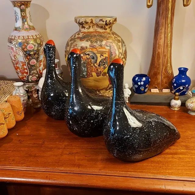 Exóticas galinhas de Angola  - Foto 5