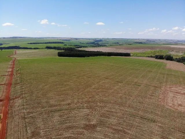 Fazenda 248 alqueiro 190 planta  - Foto 4