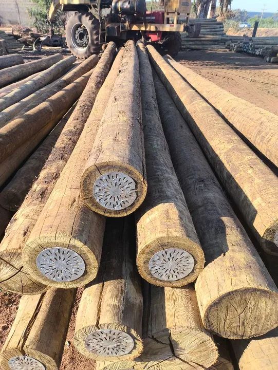 Eucalipto tratado cercas construção currais assoalho prancha  porteiras