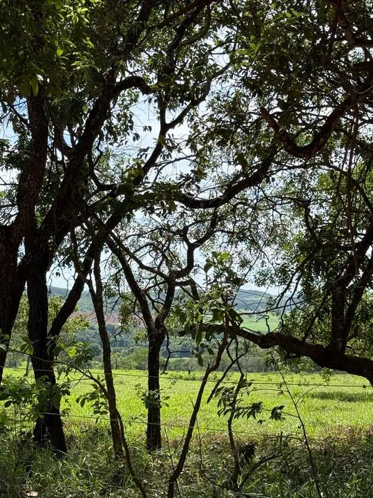 Sítio a venda 2 hectares  - Foto 3