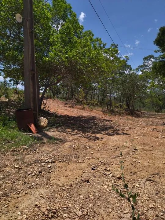 Lindo Sítio em Curralinho  - Foto 2
