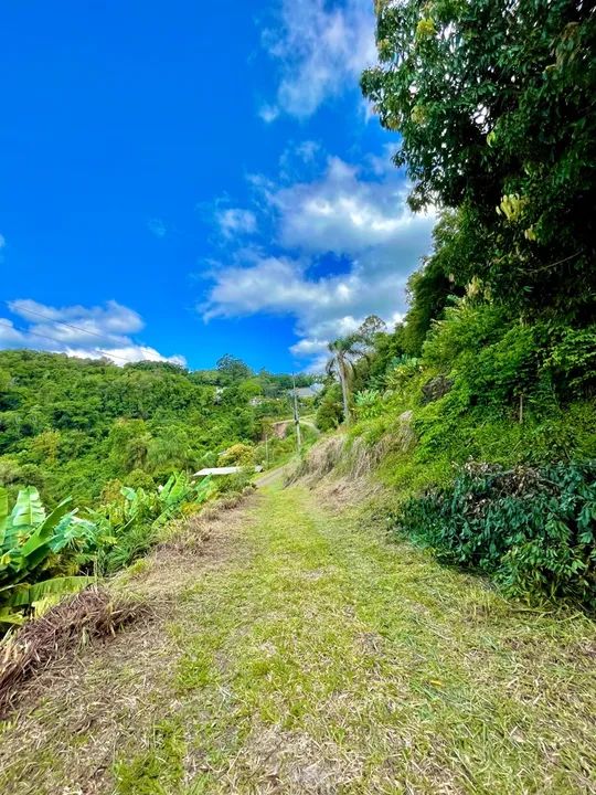 Terreno / Casa - Faria Lemos  - Foto 2