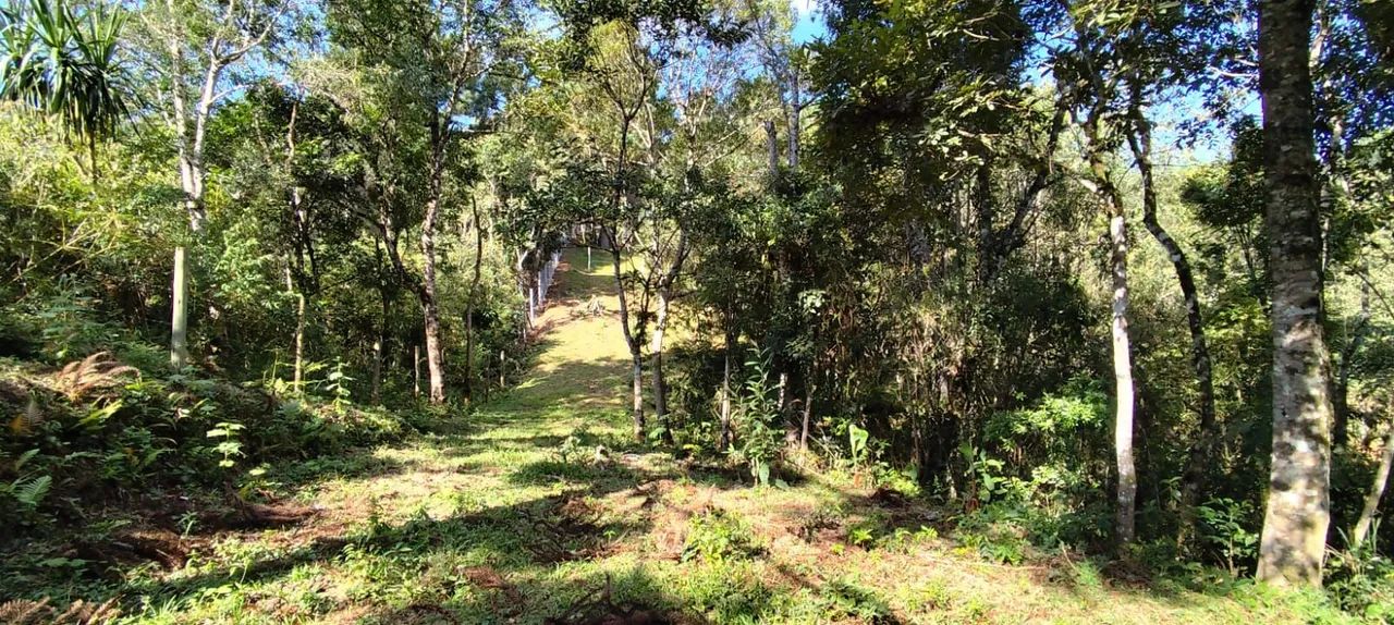 Vendo chácara formada com 2 casas - Foto 9