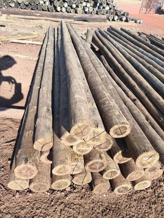 Eucalipto tratado cercas construção currais assoalho prancha  porteiras - Foto 2