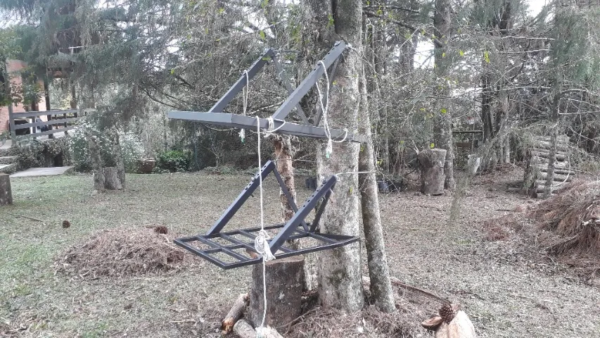 Caçadores de javali