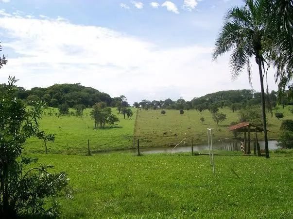 Chácara a venda em Goiânia- Goiás!!! - Foto 4