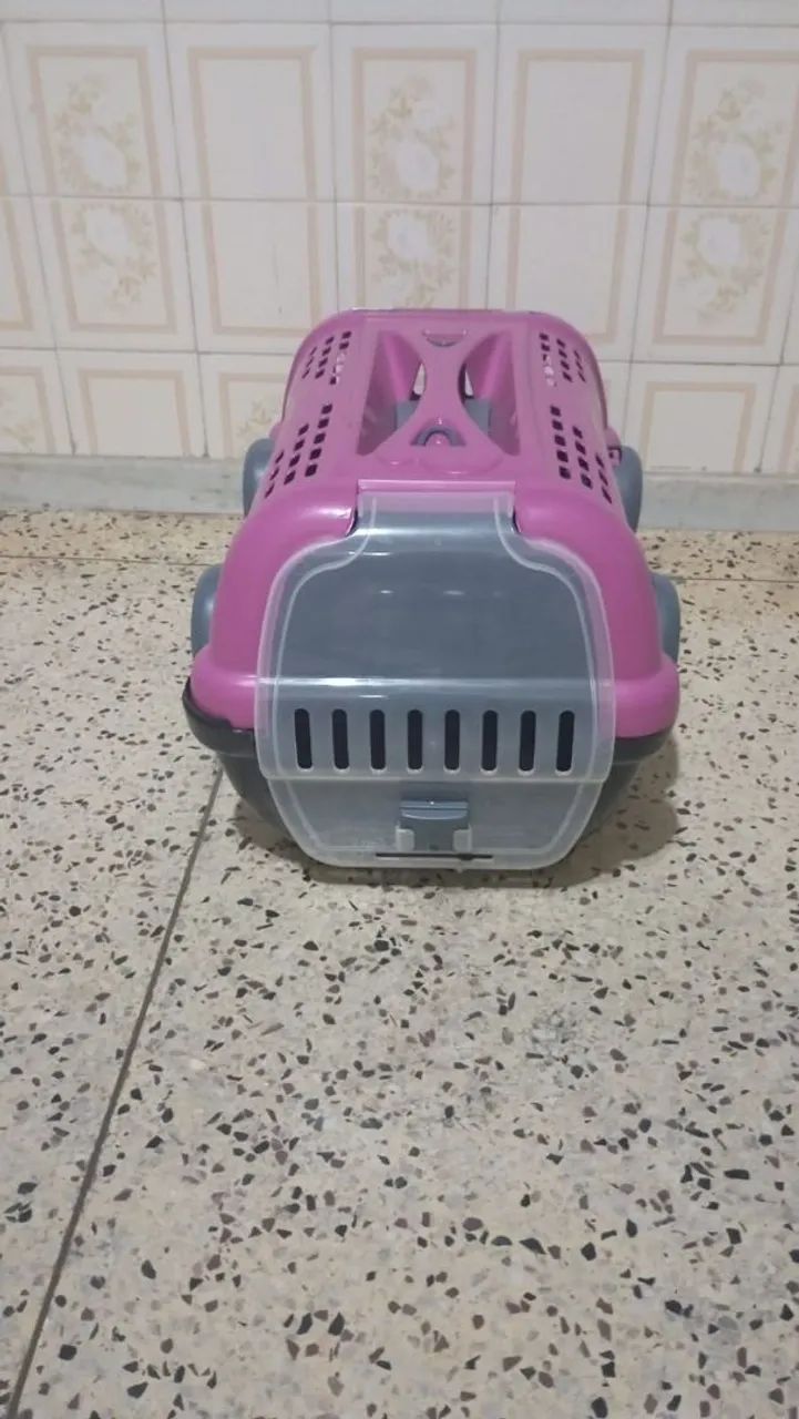 Vendo caixa transporte de pet  - Foto 3