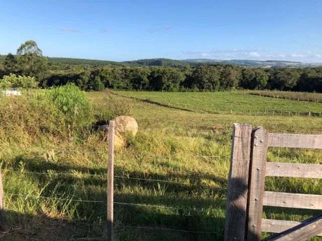 Seu refúgio no campo - Chácara de 10.000m² em Arroio dos Ratos/RS - Foto 6
