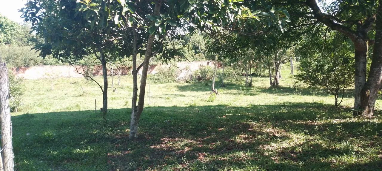 Linda Chácara 2400m² Vale das Pedrinhas Guapimirim  - Foto 4