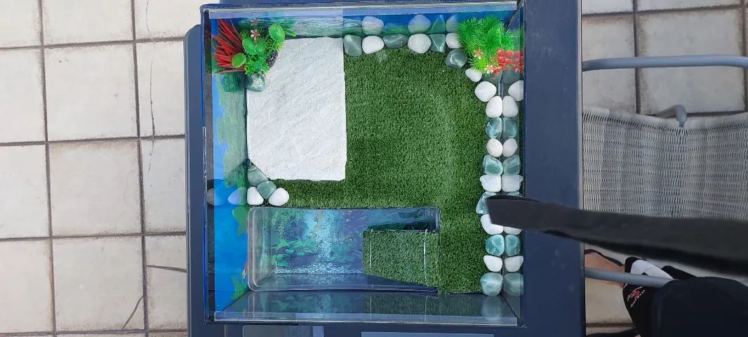 AQUATERRÁRIO COMPLETO - Foto 4