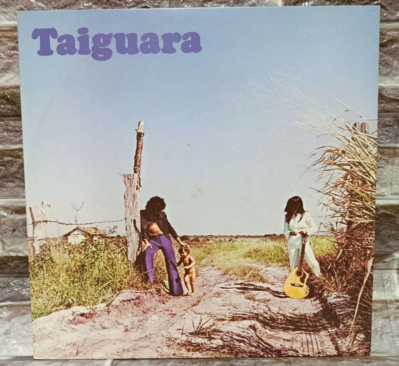 Disco de Vinil Taiguara - Grandes Sucessos 