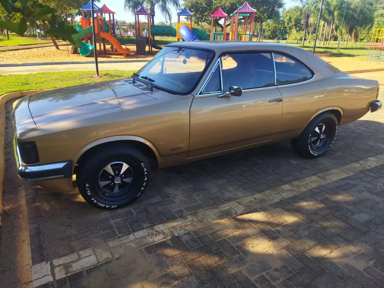 Opala 80