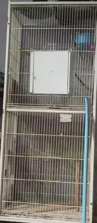 Gaiola para pássaros 