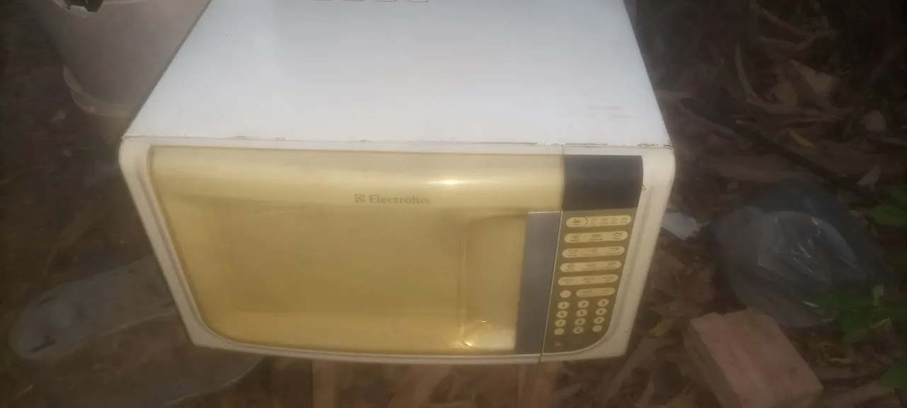 Microondas Electrolux 31LT