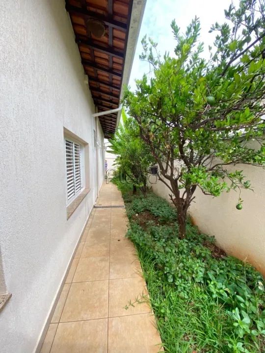 Sala para alugar em Campinas, Bonfim, com 12.8 m², Graciela Sanches Patelli - Foto 9