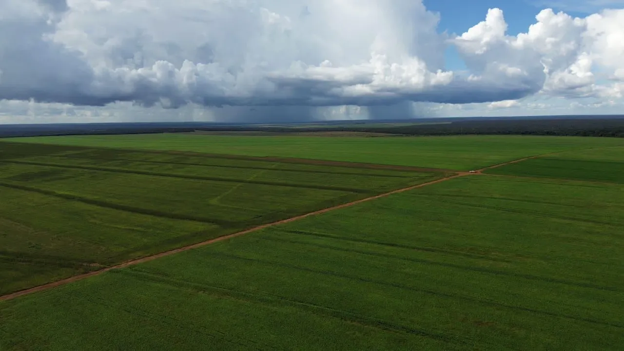 Fazenda de arrendamento 3.600 hec são José do rio claro MT.