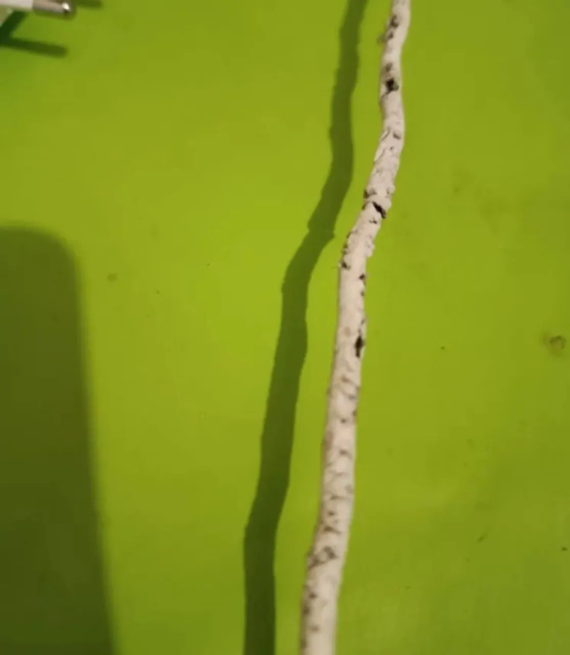 Kit twib64617708848131124