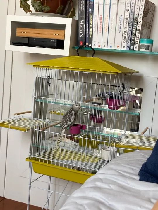 Gaiola/viveiro para calopsita  - Foto 2