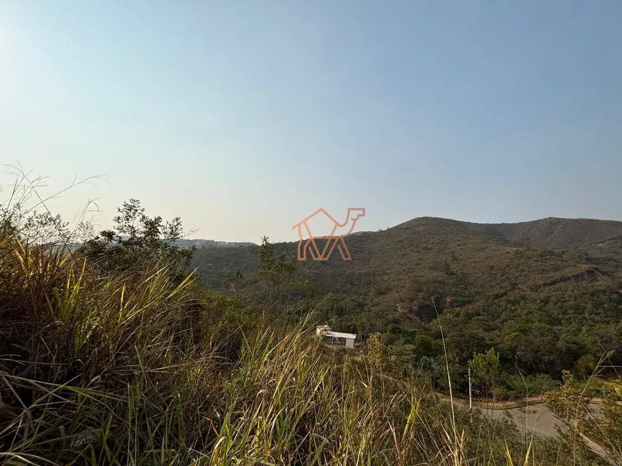 linda vista