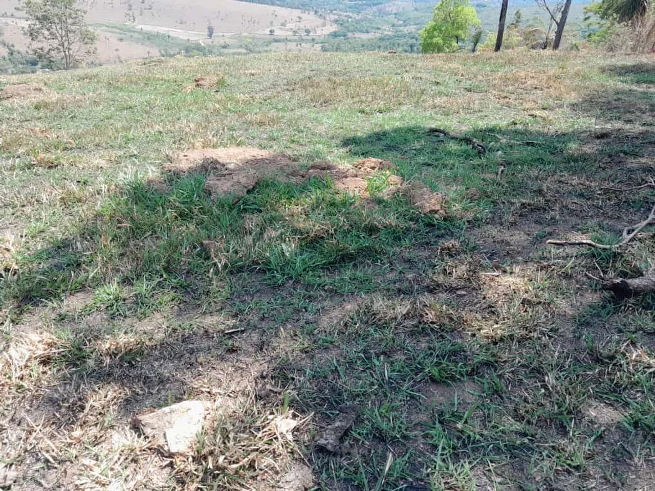 Chacaras em azurita mateus leme  - Foto 2