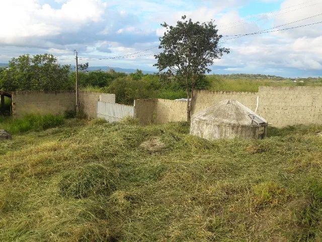 Chácara Plantações ou Criação - Caruaru - Peladas - Foto 6