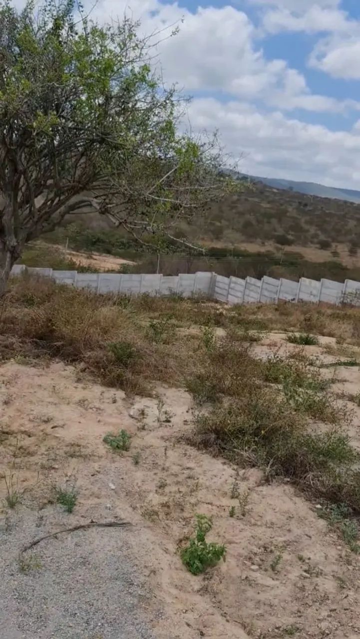 Terreno em bezerros (PE)