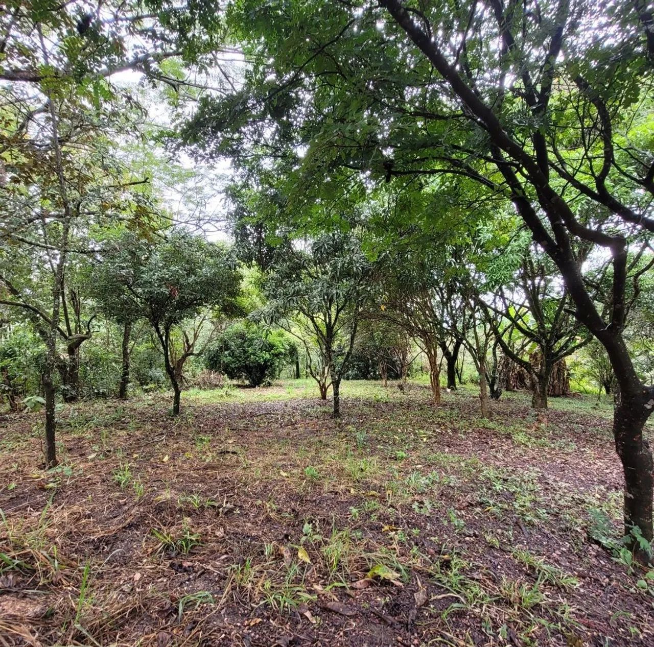 Foto - Betim - Saraiva