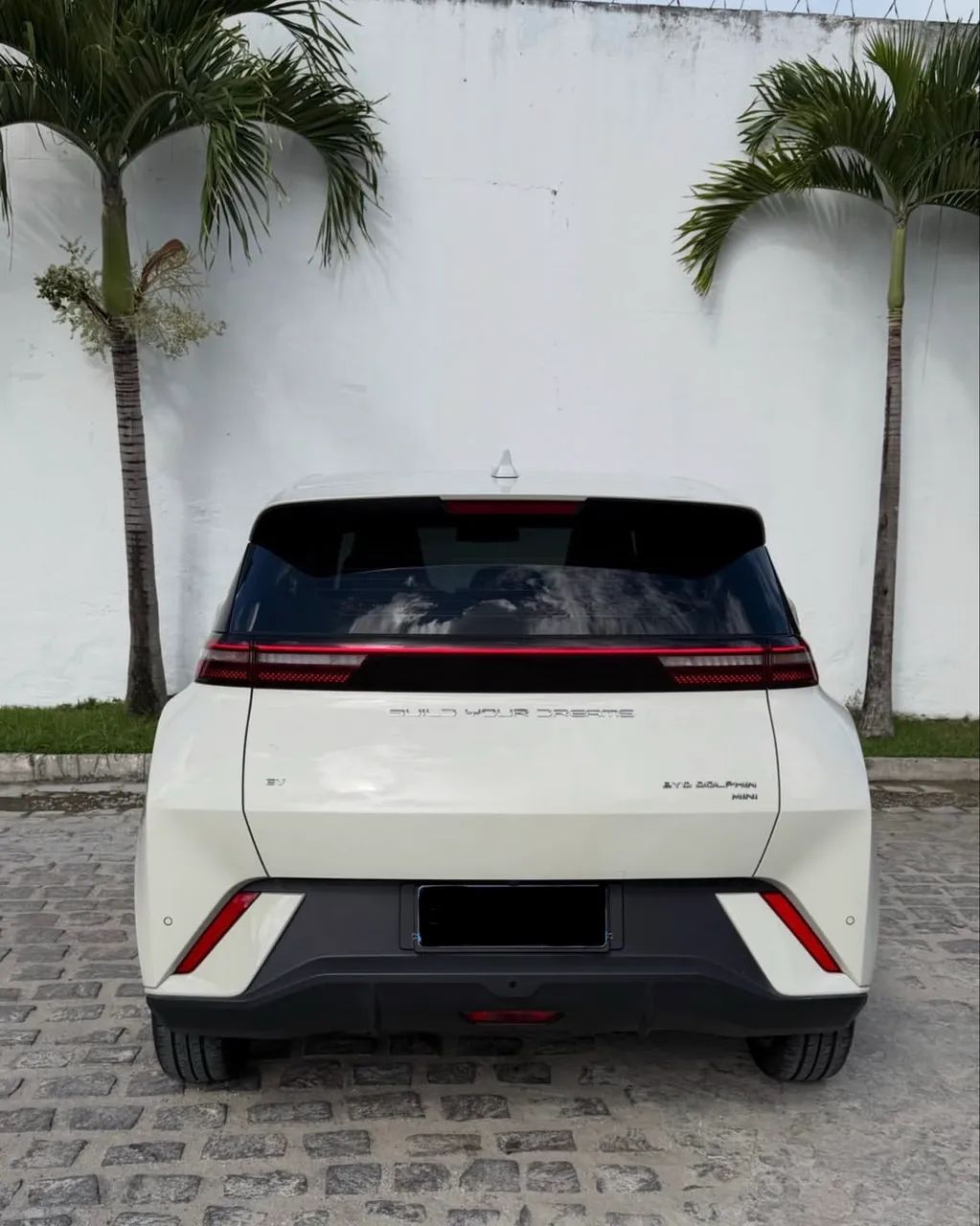 BYD Dolphin Mini (Elétrico) 2026 - Foto 3