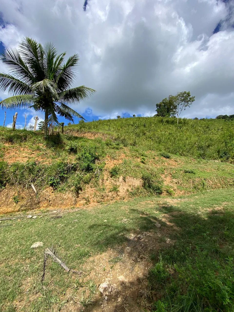 Sítio com 17,5 hectares União Dos Palmares  - Foto 2