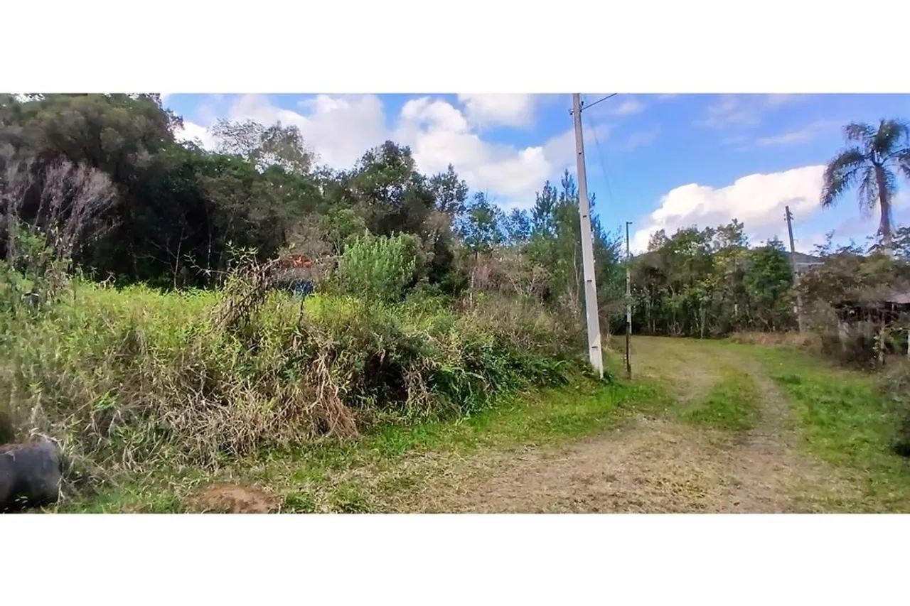 TERRENO A VENDA EM SAO PEDRO DE ALCÂNTARA - Foto 5