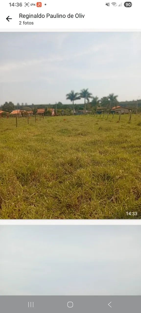 Lotes e terrenos  