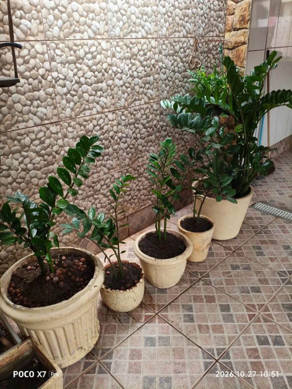 Amilcas  - Foto 5