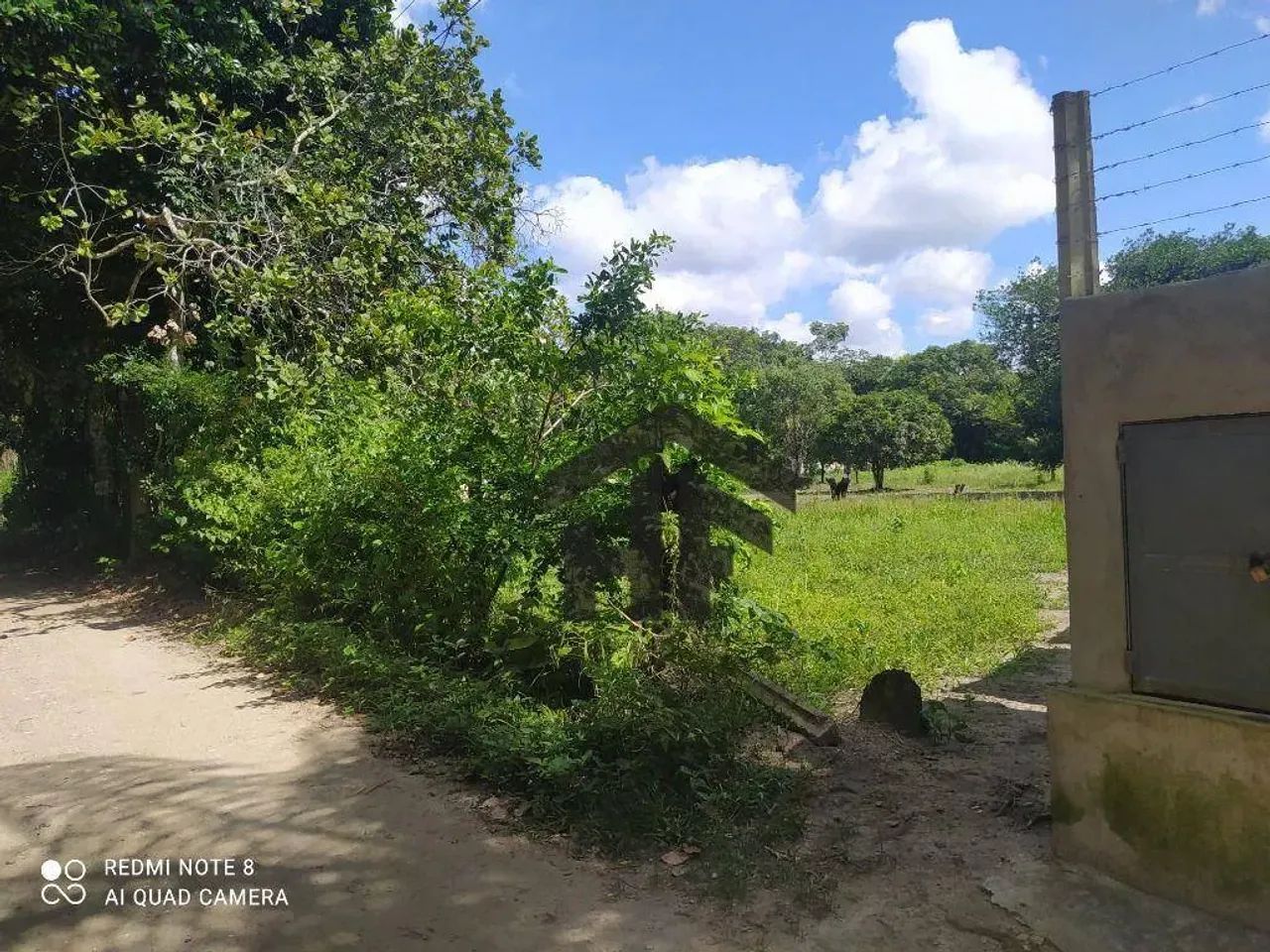Terreno com 5000 m² em Aldeia, Camaragibe - Foto 3