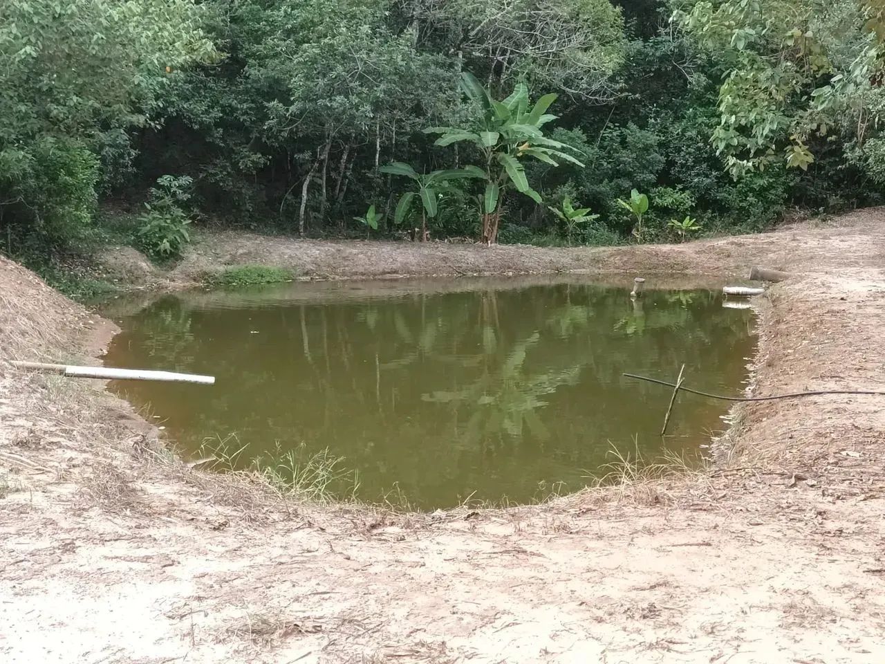Fazenda/Sítio/Chácara para venda possui 170 metros quadrados com 3 quartos - Foto 10