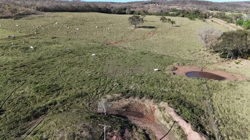 Chácara de 54 Hectares Jaraguari-MS com Rio!! - Foto 5