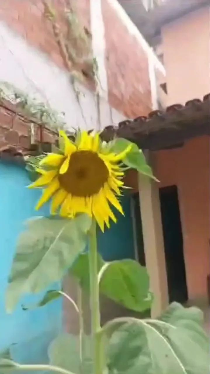 QUARTOS INDIVIDUAIS PARA HOMENS EM IPATINGA  - Foto 2