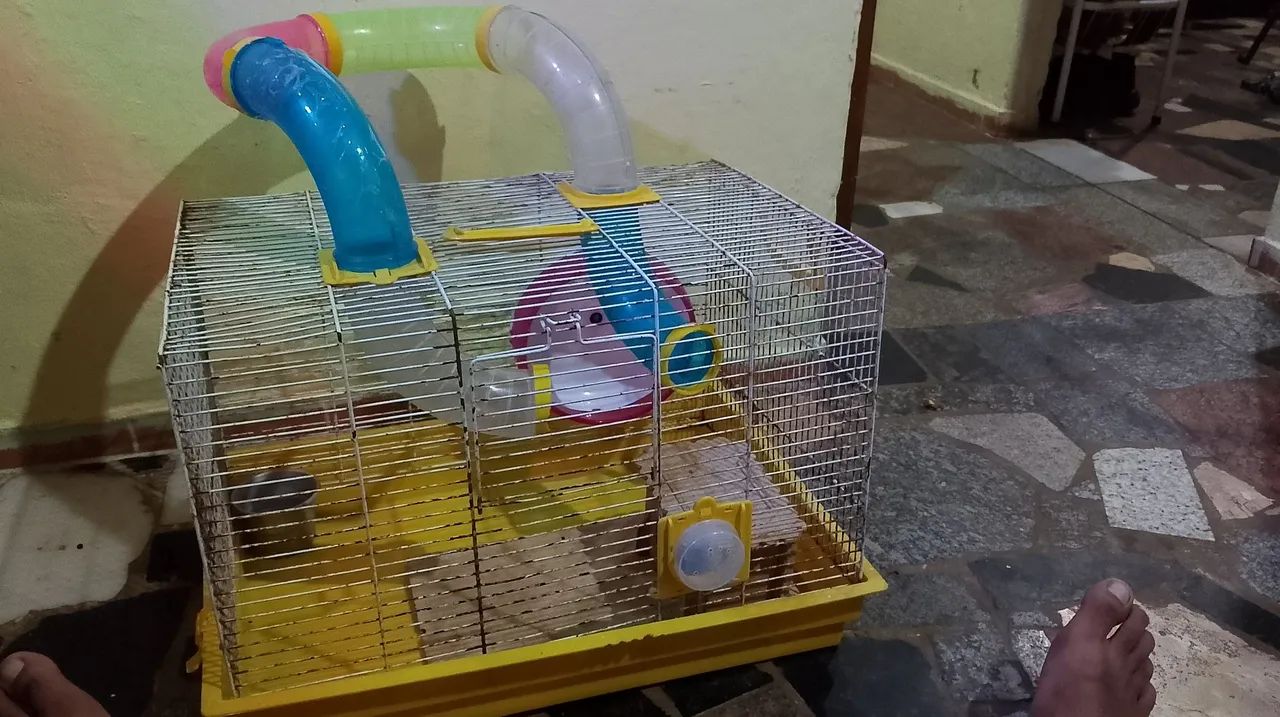 Gaiola para hamster ? - Foto 2