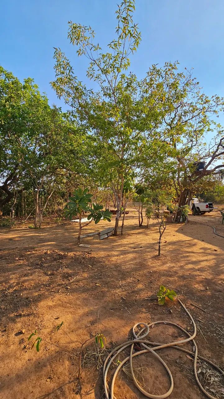 Chácara prox. Fazenda do Henrique e juliano - Foto 5