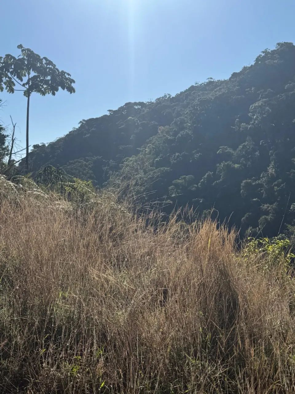 TERRENO À VENDA  453,75 m²  CAXAMBU PETRÓPOLIS - Foto 2