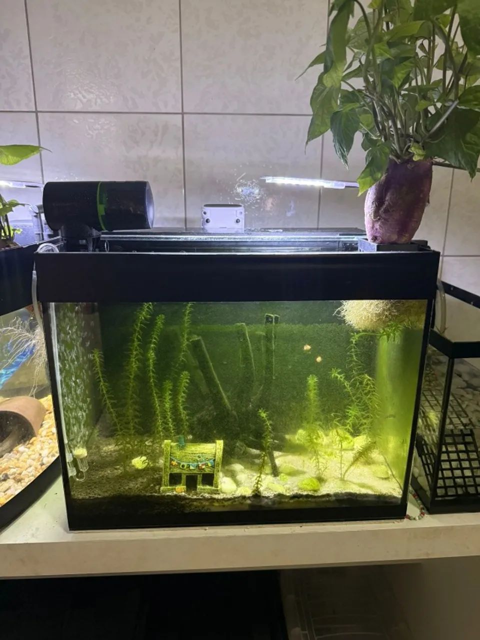 "Aquário 80 litros com sump, bomba d'água, mídias e perlon" (sem peixes) 