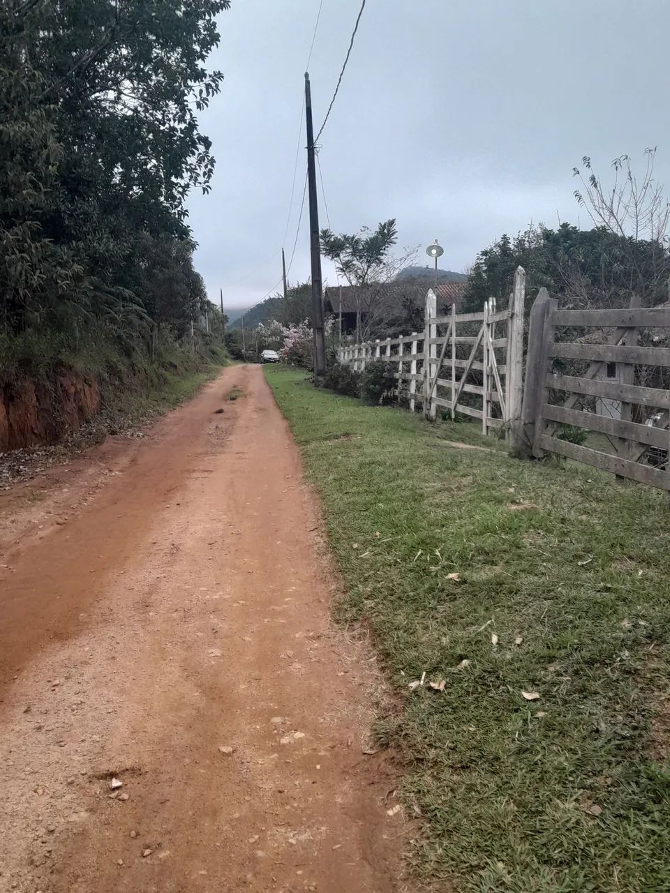Vendo chacara no Pacau Bom Jardim de MG - Foto 4