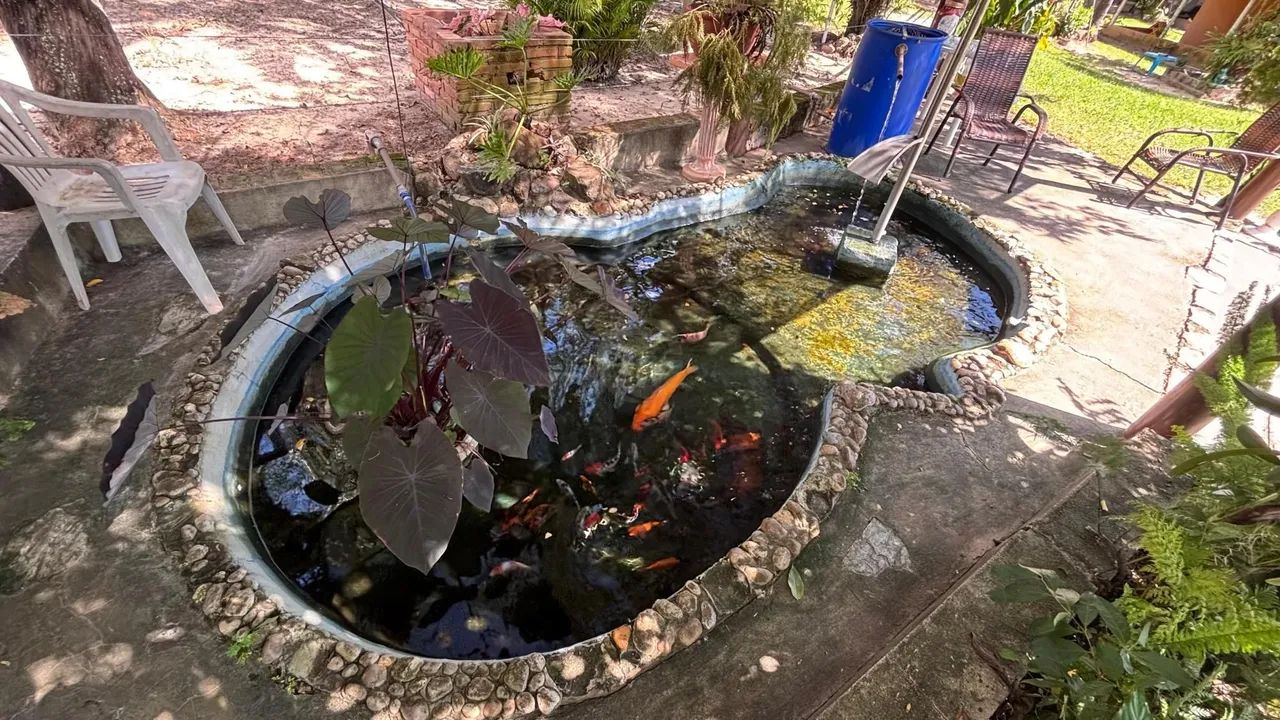 Chácara a Venda em Charqueada - 2400m² - Docs ok - Aceita permuta - Foto 3