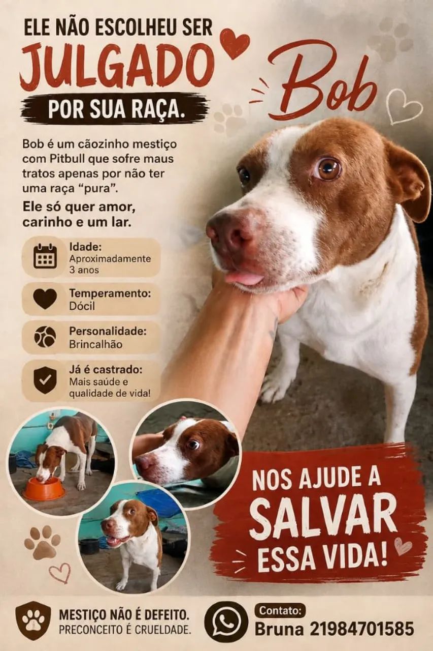 Adoção Responsável 
