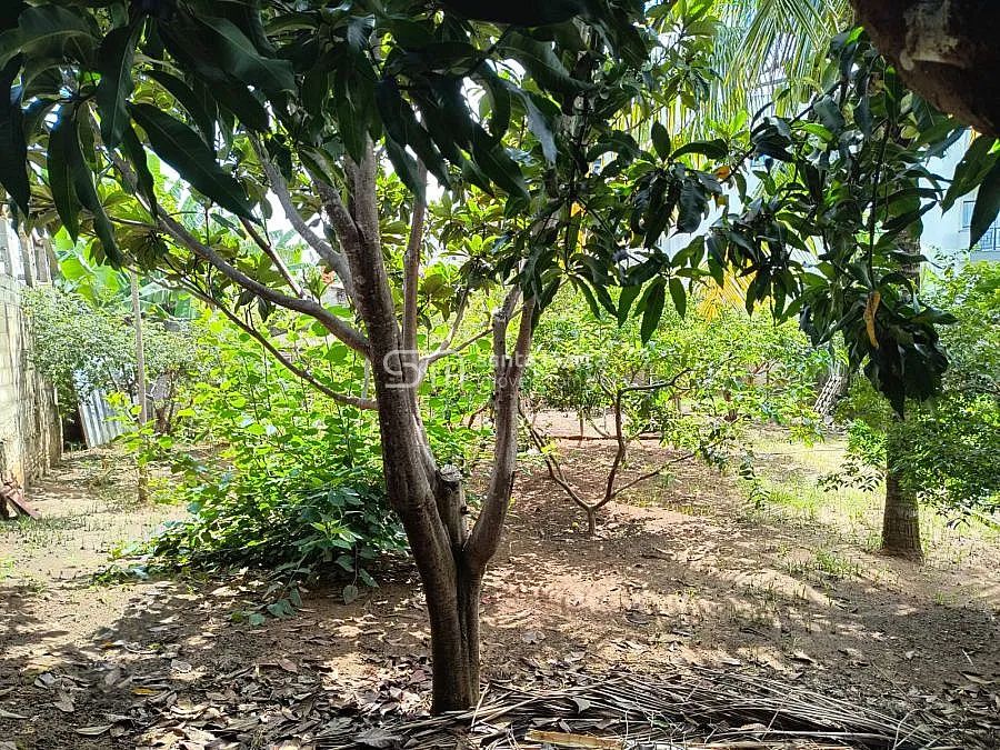 TERRENO PLANO, VILA ZÉLIA, LORENA, SP