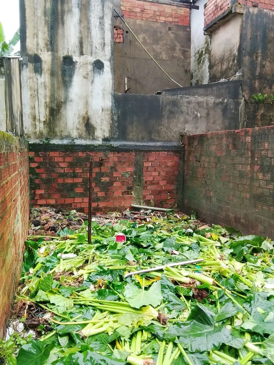 Terreno ótima localização!! - Foto 2